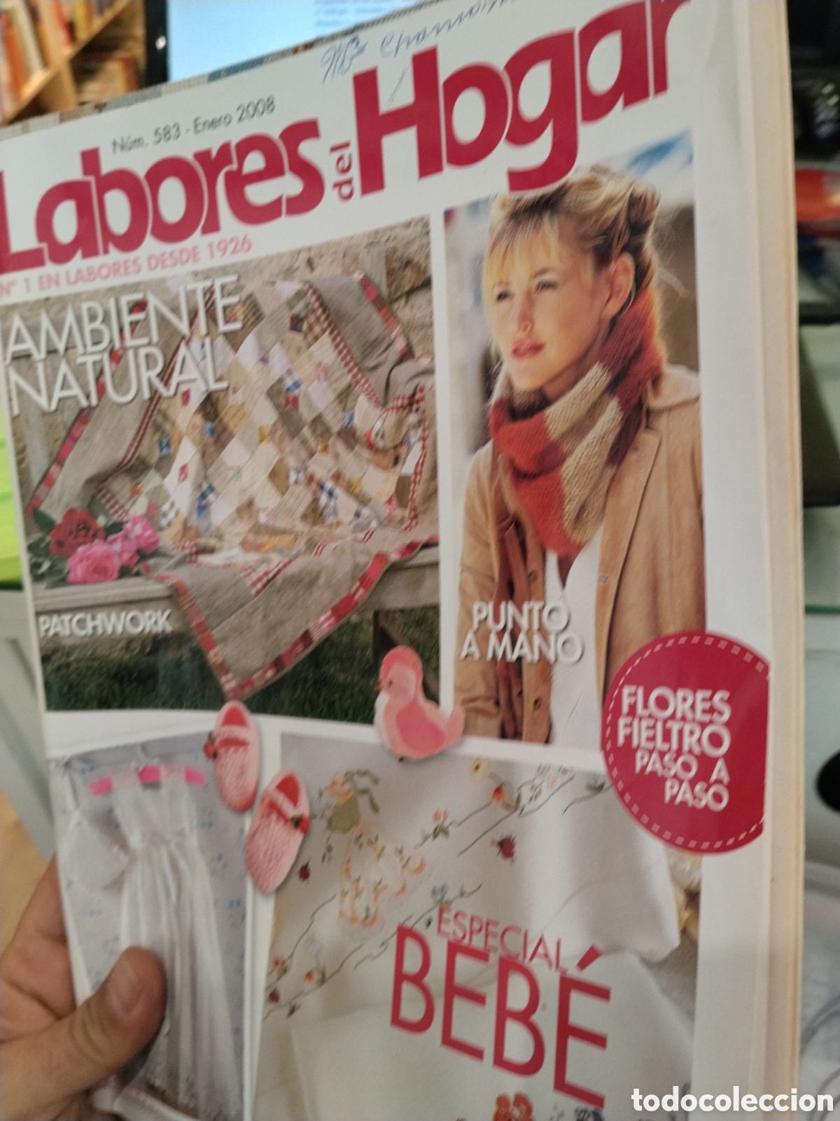 Coleccionismo de revistas y peri&oacute;dicos: Revista Labores del Hogar. N. 583. 2008