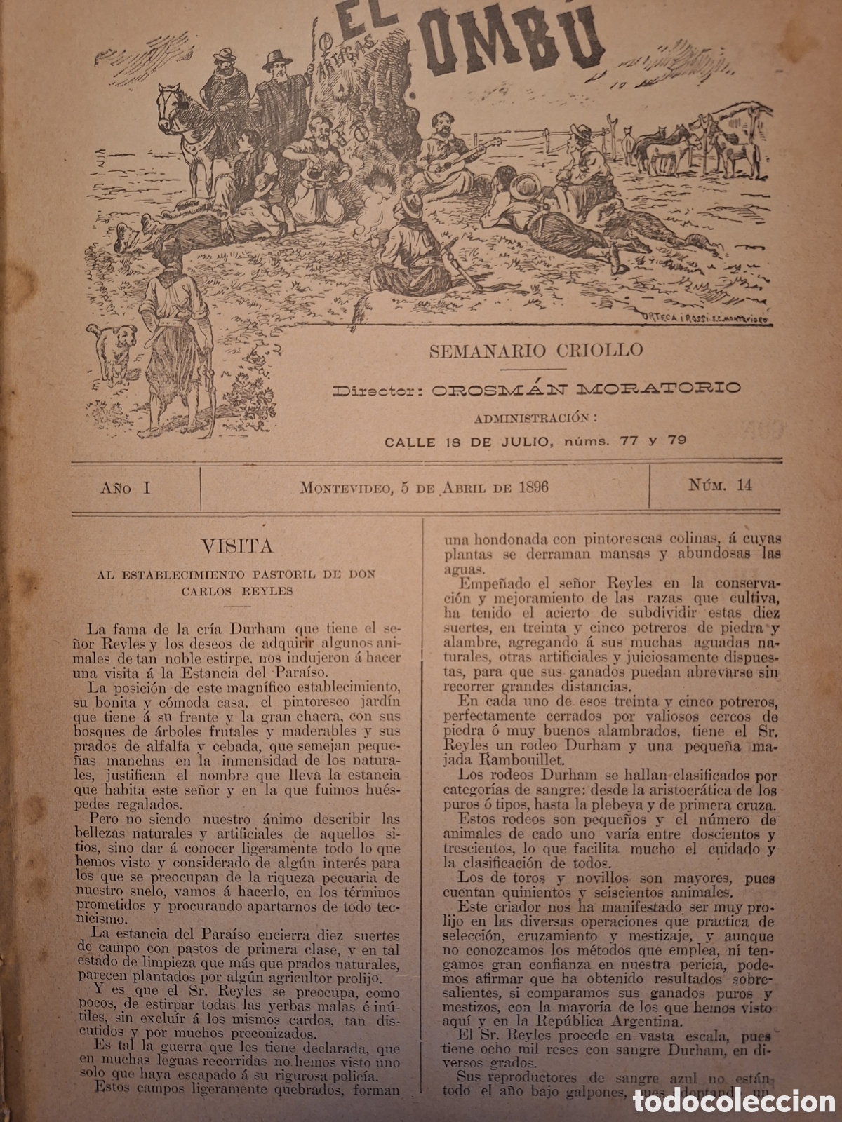 Coleccionismo de revistas y peri&oacute;dicos: SEMANARIO CRIOLLO A&Ntilde;O 1896 No 14 ESTANCIA EL PARAISO CARLOS REYLES ASCASUBI BALDOMERO EL GAUCHO
