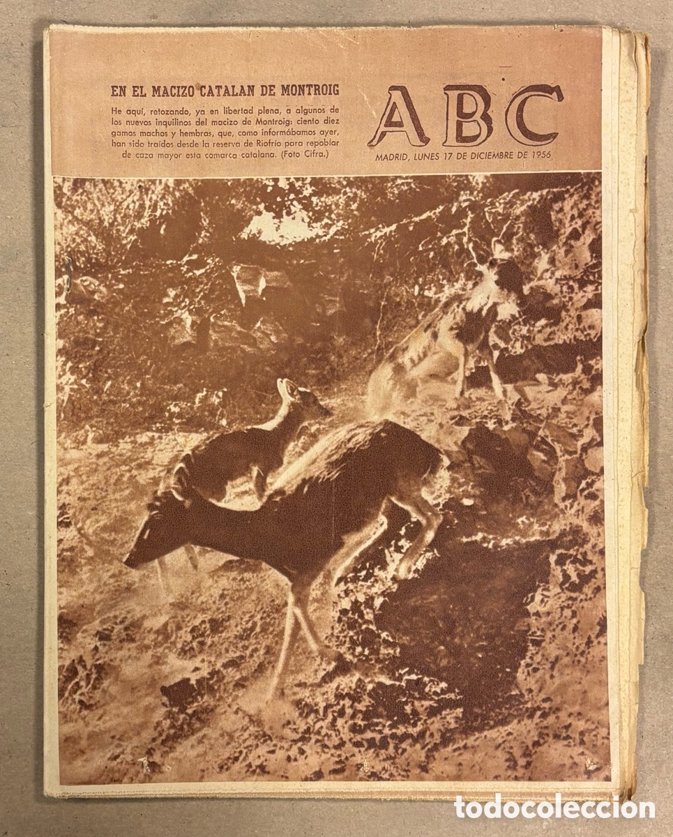 Coleccionismo de revistas y peri&oacute;dicos: ABC (17 DICIEMBRE 1956) EN EL MACIZO CATAL&Aacute;N DE MONTROIG, LA CATEDRAL CARTAGENA, REAL MADRID 3-3 ZA