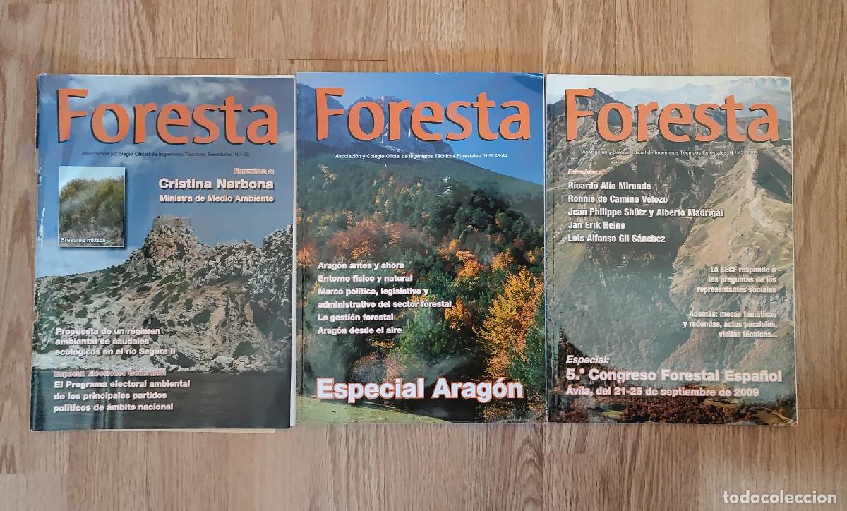 Coleccionismo de revistas y peri&oacute;dicos: LOTE REVISTAS FORESTA INGENIEROS FORESTALES