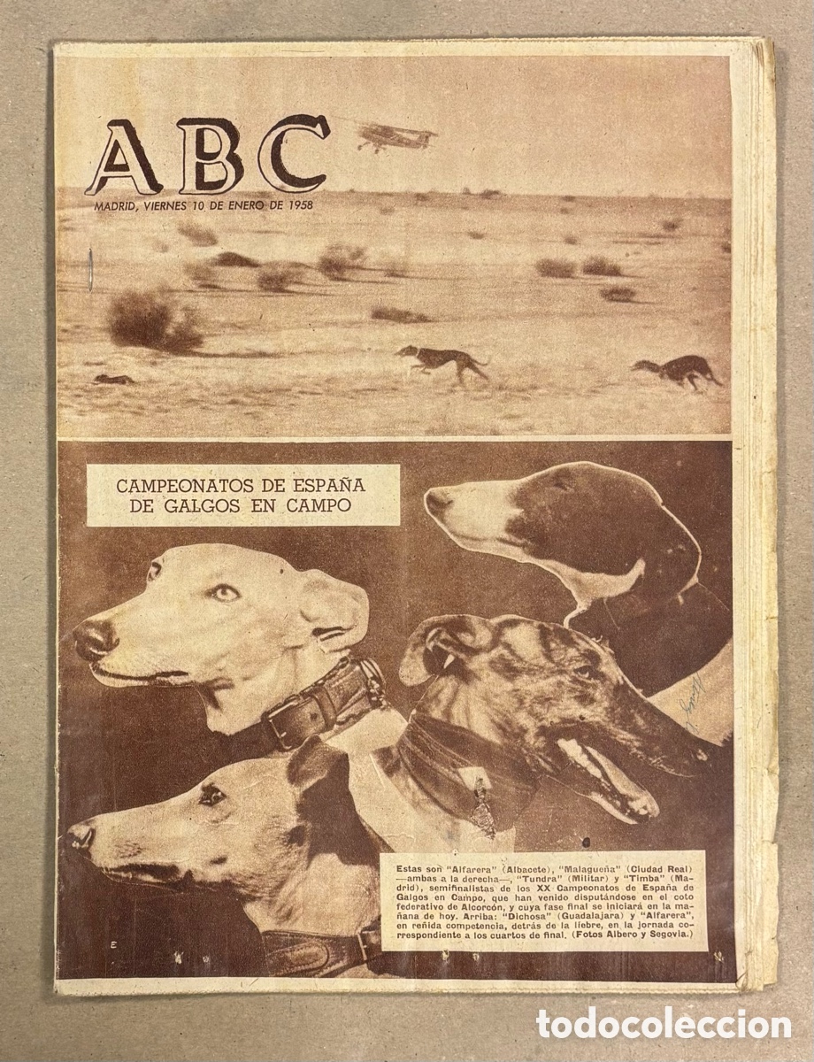 Coleccionismo de revistas y peri&oacute;dicos: ABC (10 ENERO 1958) CAMPEONATO ESPA&Ntilde;A GALGOS EN CAMPOS ALCORC&Oacute;N, PASO ESTRECHO GIBRALTAR, DI STEFANO