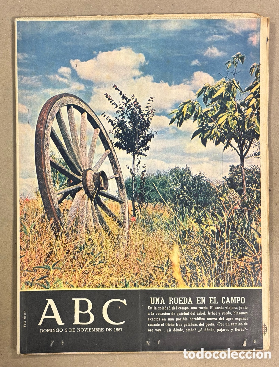 Coleccionismo de revistas y peri&oacute;dicos: ABC (5 NOVIEMBRE 1967) CULTIVO AZAFR&Aacute;N EN TERUEL, EL BARRIO DE CARAQUE MADRID, AMALIA RODRIGUES FADO