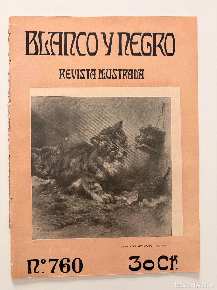Coleccionismo de revistas y peri&oacute;dicos: BLANCO Y NEGRO. N&ordm; 760. NOVIEMBRE 1905. EL PALACIO IDEAL. HOTEL DE LOS SE&Ntilde;ORES D&Iacute;AZ DE MENDOZA. LEER