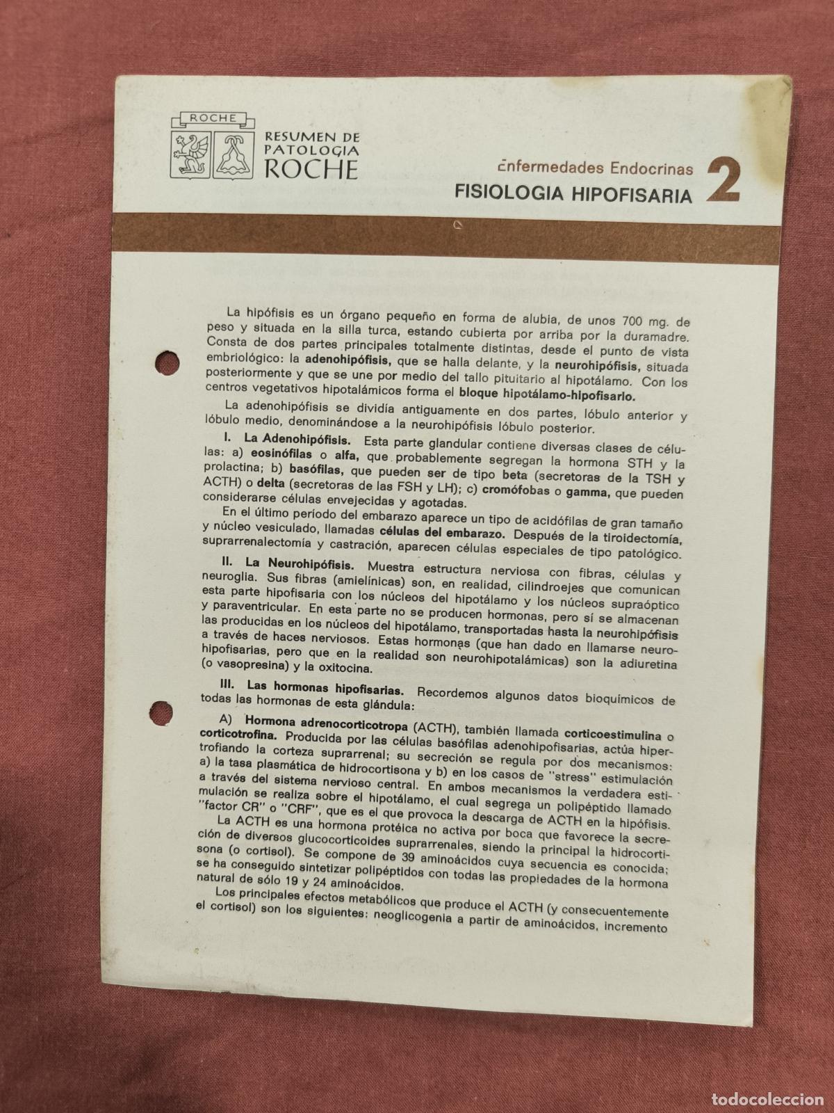 Collection Magazines and Newspapers: Folleto Resumen de Patolog&iacute;a Roche N&ordm; 2 &ndash; Enfermedades Endocrinas: Fisiolog&iacute;a Hipofisaria
