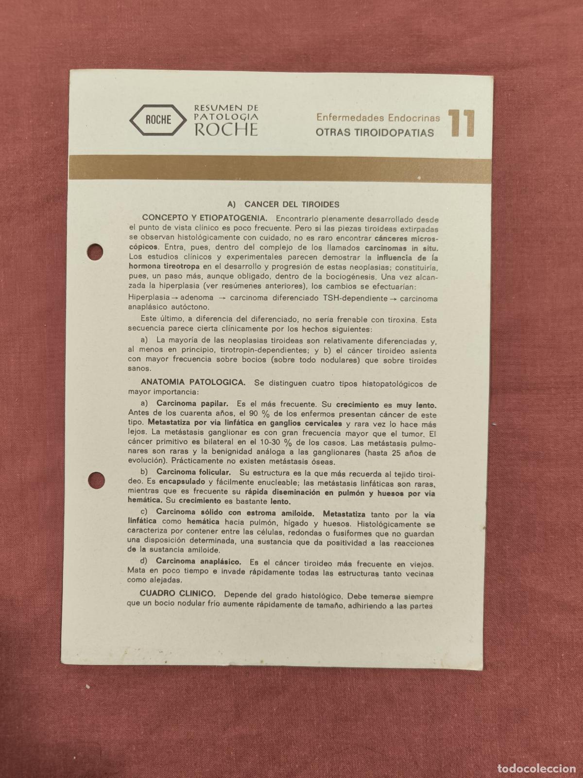Collection Magazines and Newspapers: Folleto Resumen de Patolog&iacute;a Roche N&ordm; 11 &ndash; Enfermedades Endocrinas: Otras Tiroidopat&iacute;as