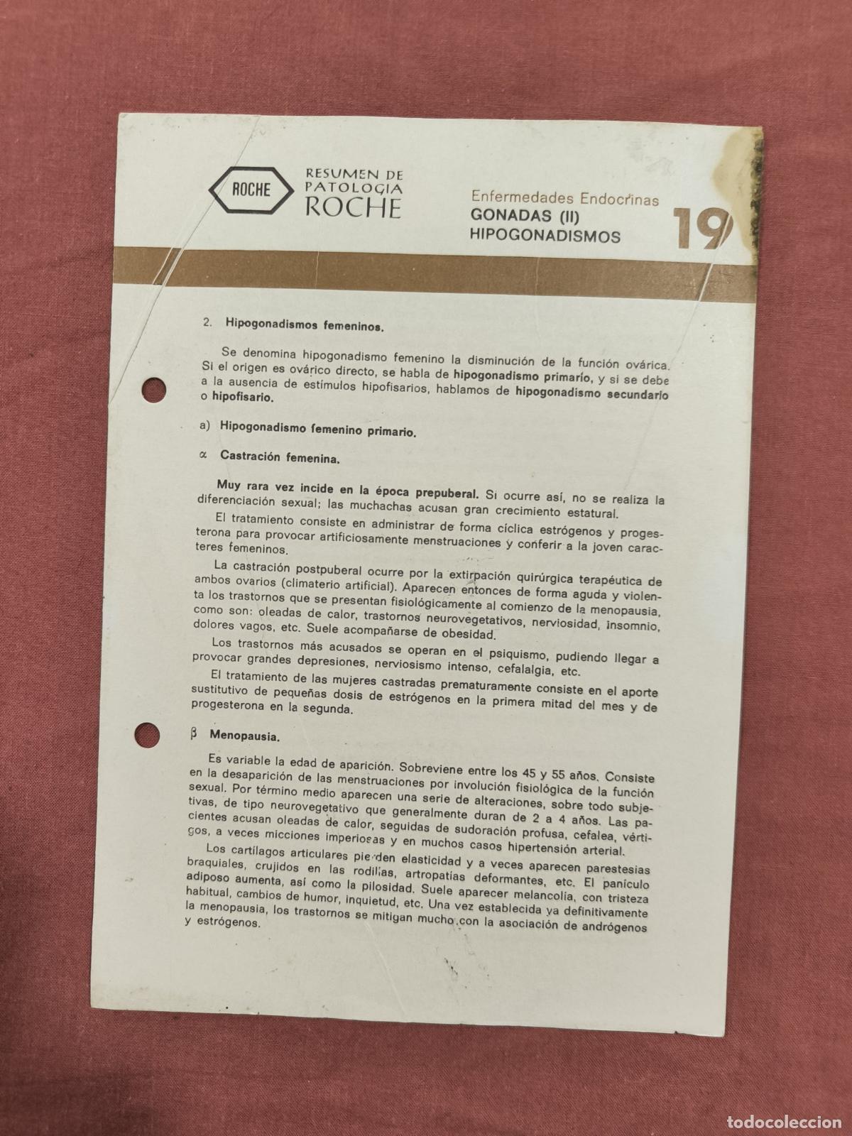 Colecionismo de Revistas e Jornais: Folleto Resumen de Patolog&iacute;a Roche N&ordm; 19 &ndash; G&oacute;nadas II: Hipogonadismos