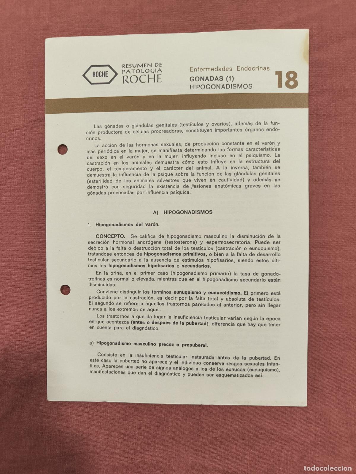 Colecionismo de Revistas e Jornais: Folleto Resumen de Patolog&iacute;a Roche N&ordm; 18 &ndash; G&oacute;nadas I: Hipogonadismos