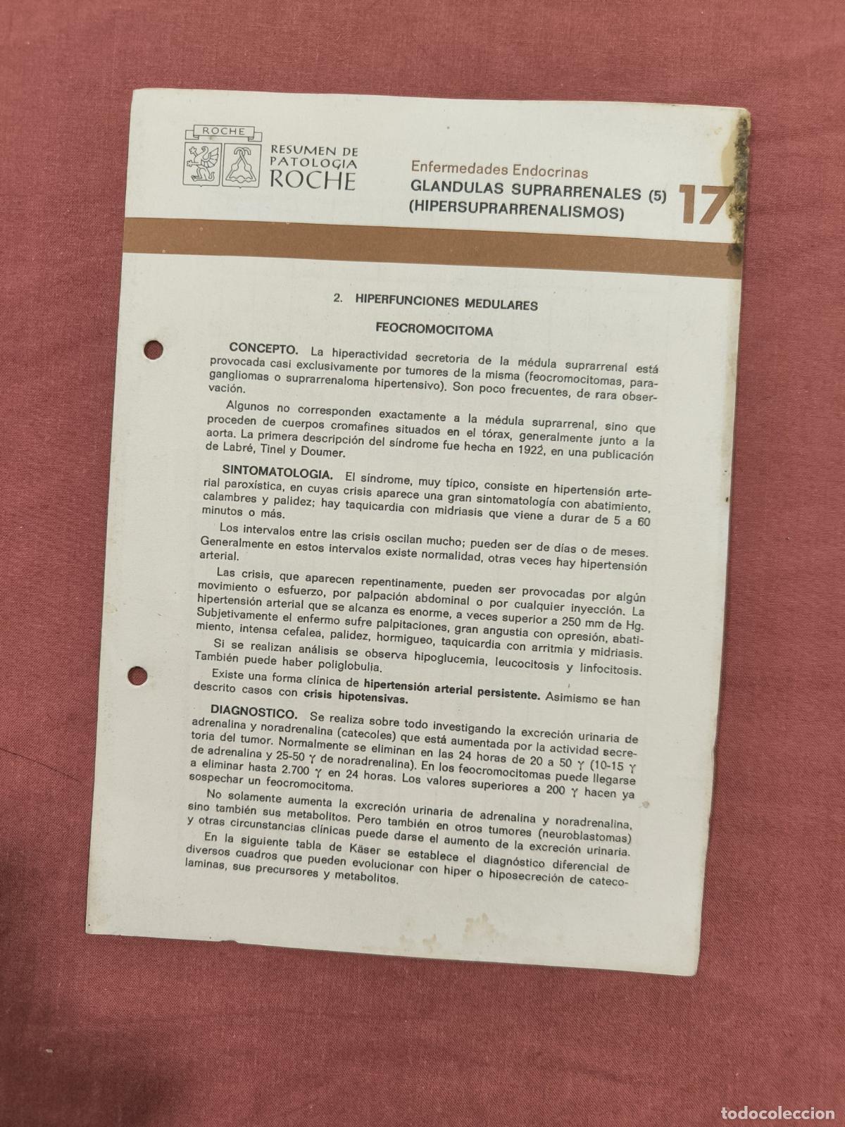 Sammeln von Zeitschriften und Zeitungen: Folleto Resumen de Patolog&iacute;a Roche N&ordm; 17 &ndash; Suprarrenales 5: Hipersuprarrenalismos