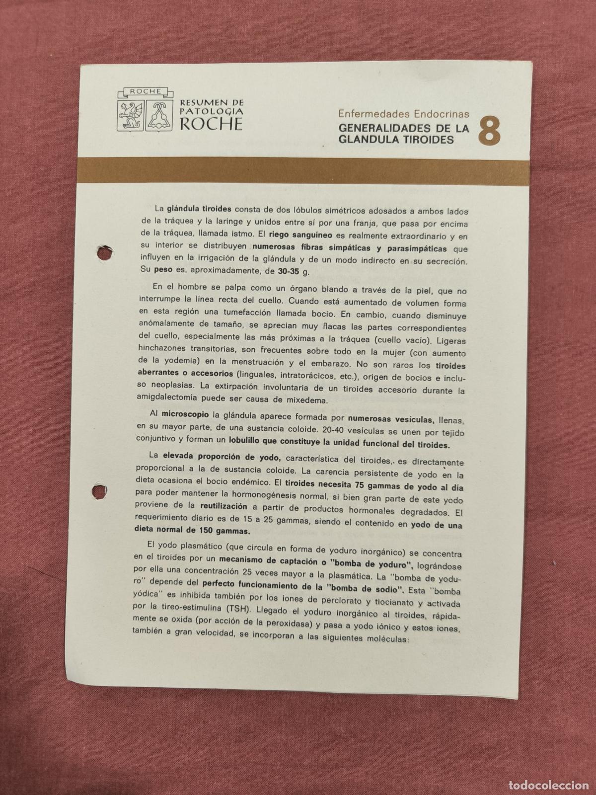 Sammeln von Zeitschriften und Zeitungen: Folleto Resumen de Patolog&iacute;a Roche N&ordm; 8 &ndash; Generalidades de la Gl&aacute;ndula Tiroides