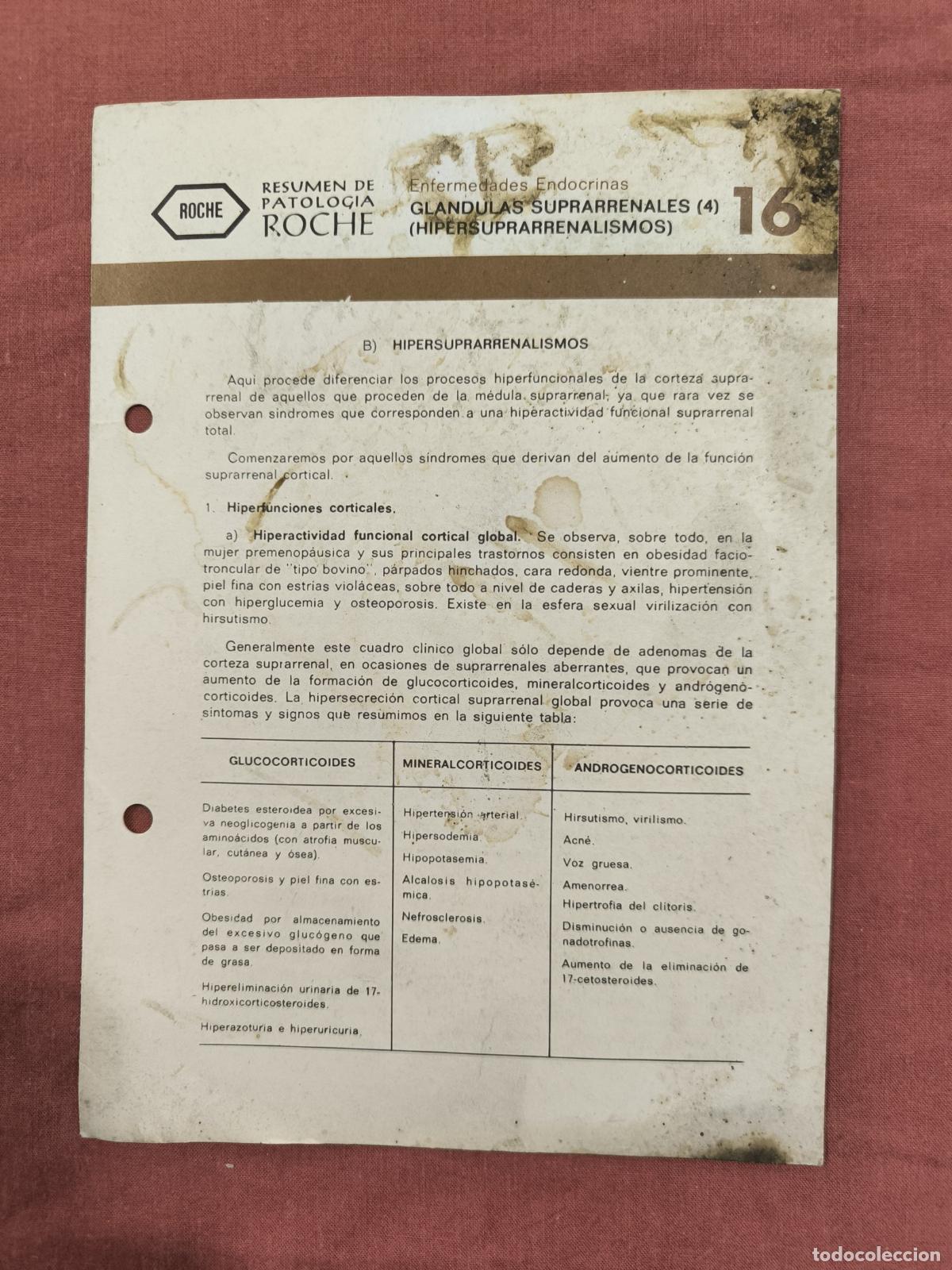 Sammeln von Zeitschriften und Zeitungen: Folleto Resumen de Patolog&iacute;a Roche N&ordm; 16 &ndash; Suprarrenales 4: Hipersuprarrenalismos