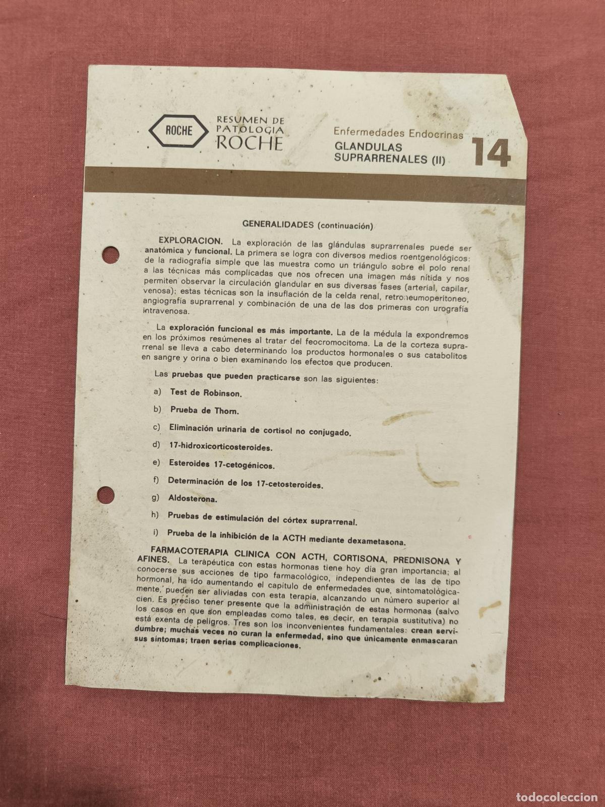 Sammeln von Zeitschriften und Zeitungen: Folleto Resumen de Patolog&iacute;a Roche N&ordm; 14 &ndash; Gl&aacute;ndulas Suprarrenales II