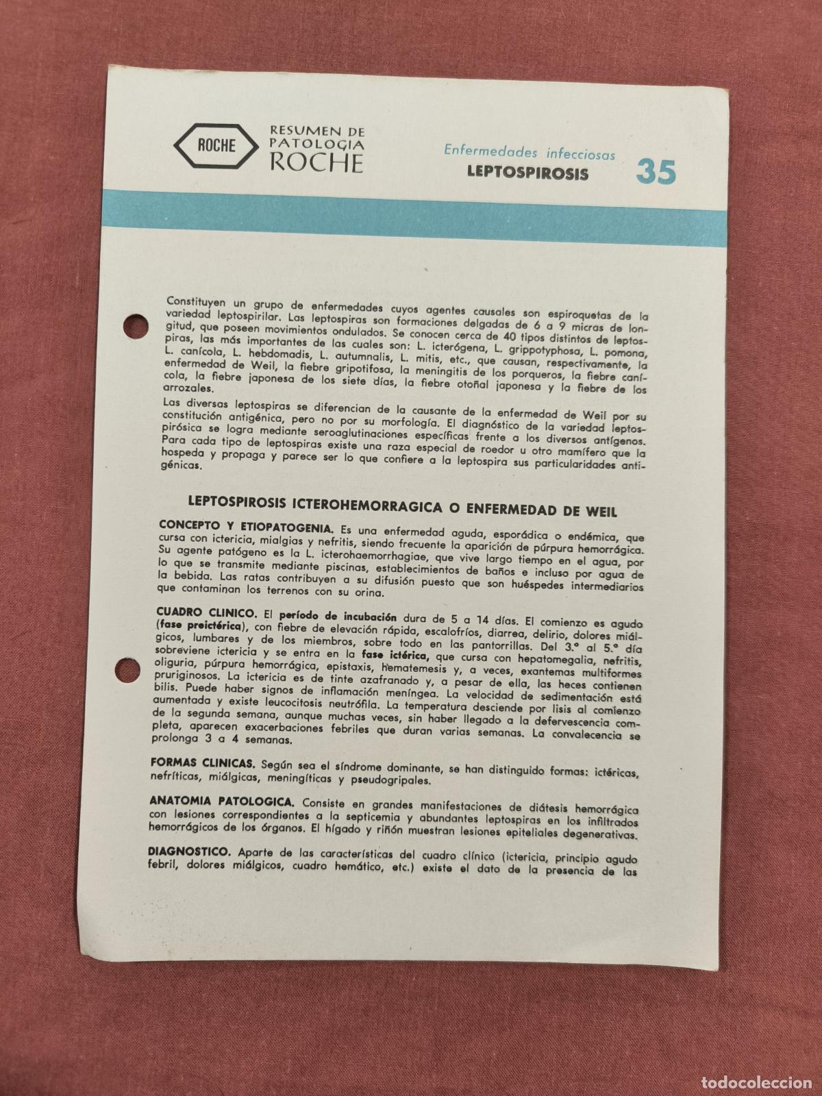 Collectionnisme de Revues et Journaux: Folleto Resumen de Patolog&iacute;a Roche N&ordm; 35 &ndash; Enfermedades Infecciosas: Leptospirosis