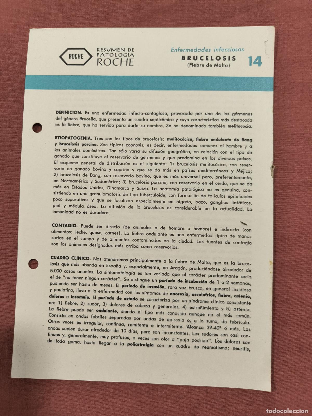 Collection Magazines and Newspapers: Folleto Resumen de Patolog&iacute;a Roche N&ordm; 14 &ndash; Infecciosas: Brucelosis (Fiebre de Malta)