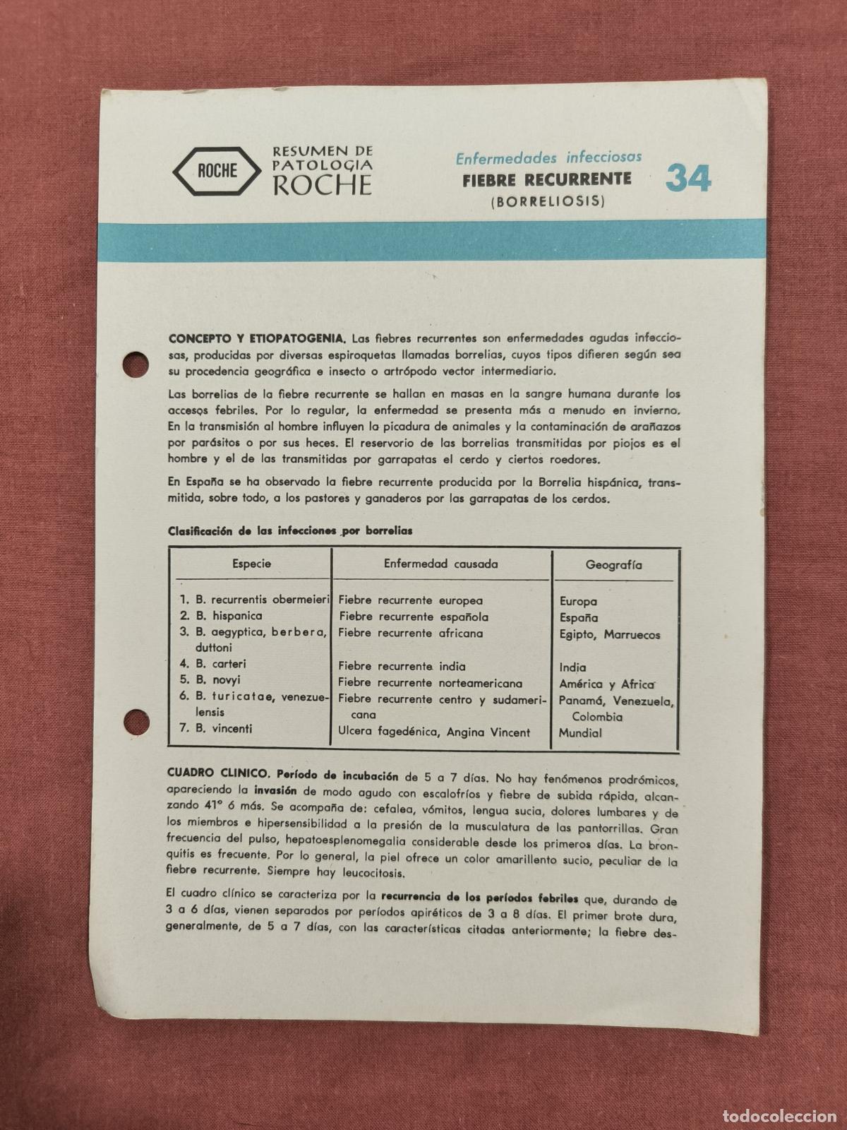 Collection Magazines and Newspapers: Folleto Resumen de Patolog&iacute;a Roche N&ordm; 34 &ndash; Infecciosas: Fiebre Recurrente