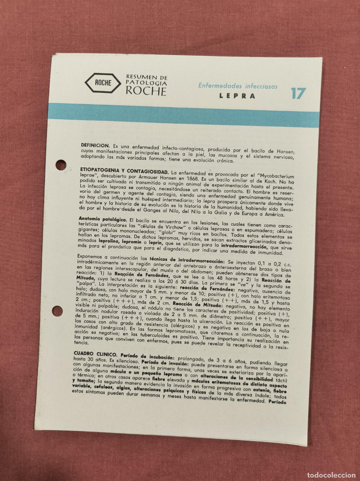 Collectionnisme de Revues et Journaux: Folleto Resumen de Patolog&iacute;a Roche N&ordm; 17 &ndash; Enfermedades Infecciosas: Lepra