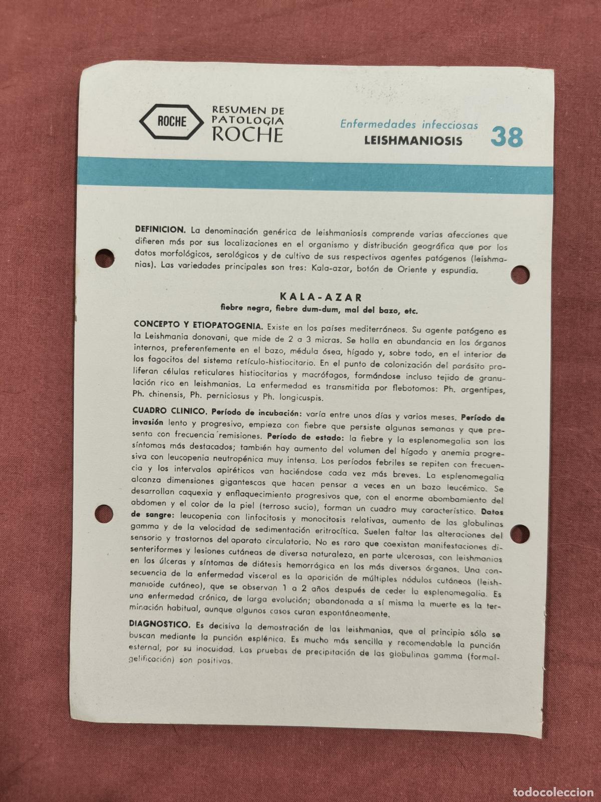 Collectionnisme de Revues et Journaux: Folleto Resumen de Patolog&iacute;a Roche N&ordm; 38 &ndash; Enfermedades Infecciosas: Leishmaniosis
