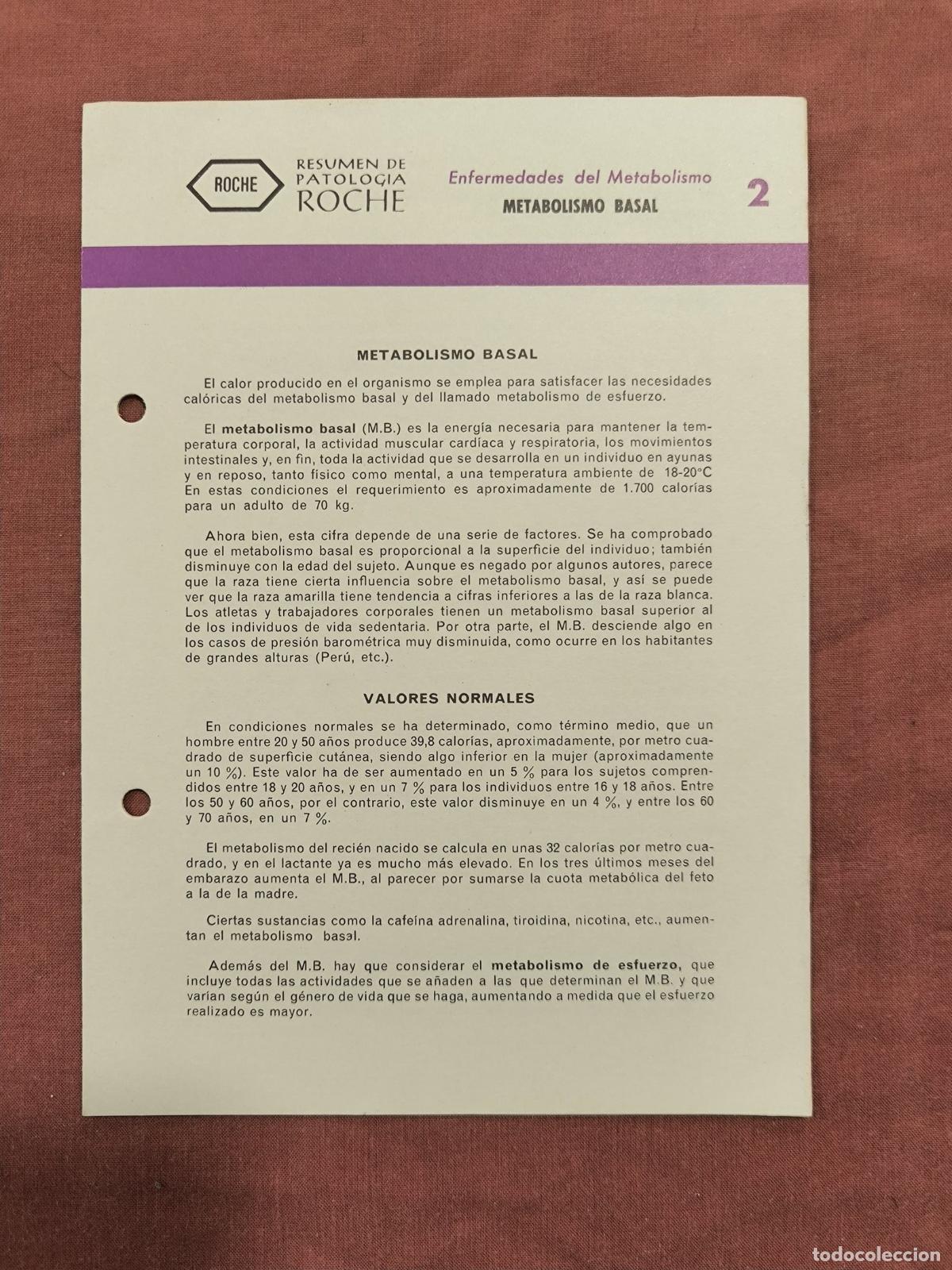 Collection Magazines and Newspapers: Folleto Resumen de Patolog&iacute;a Roche N&ordm; 2 &ndash; Metabolismo: Metabolismo Basal