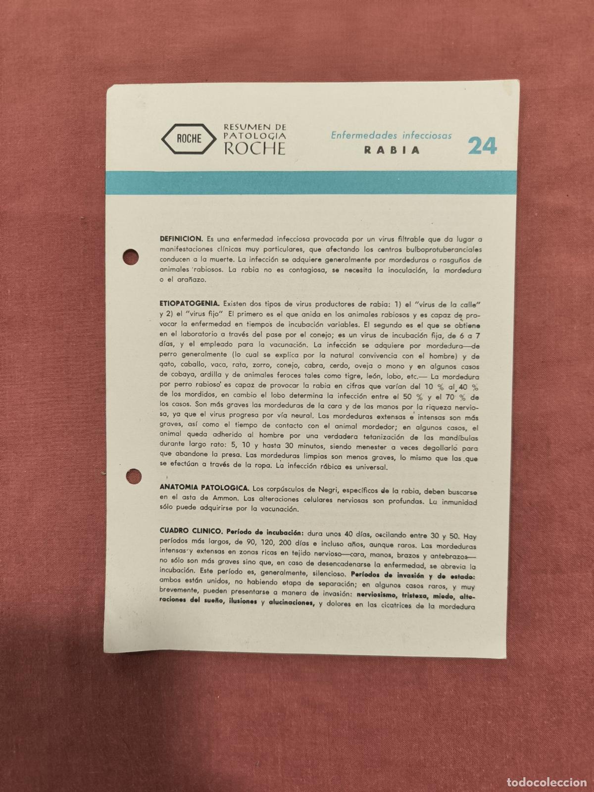 Collection Magazines and Newspapers: Folleto Resumen de Patolog&iacute;a Roche N&ordm; 24 &ndash; Enfermedades Infecciosas: Rabia