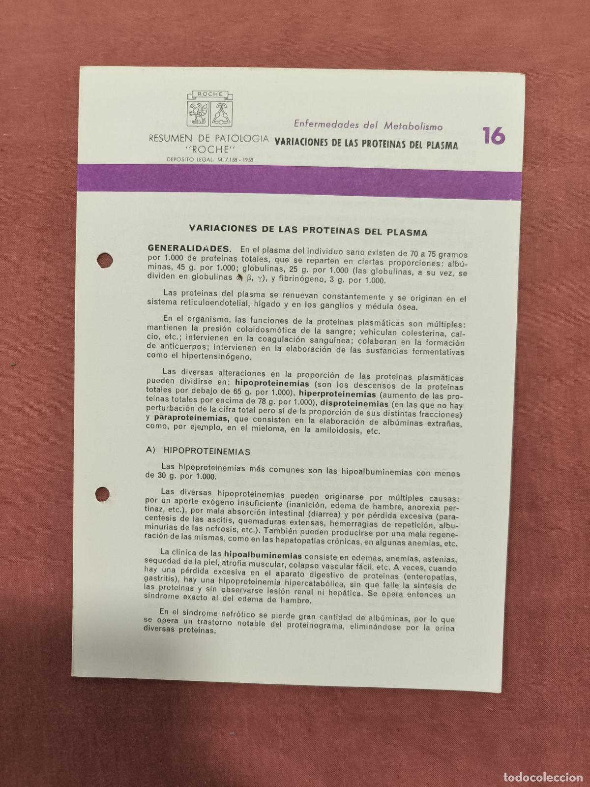 Collection Magazines and Newspapers: Folleto Resumen de Patolog&iacute;a Roche N&ordm; 16 &ndash; Metabolismo: Prote&iacute;nas del Plasma