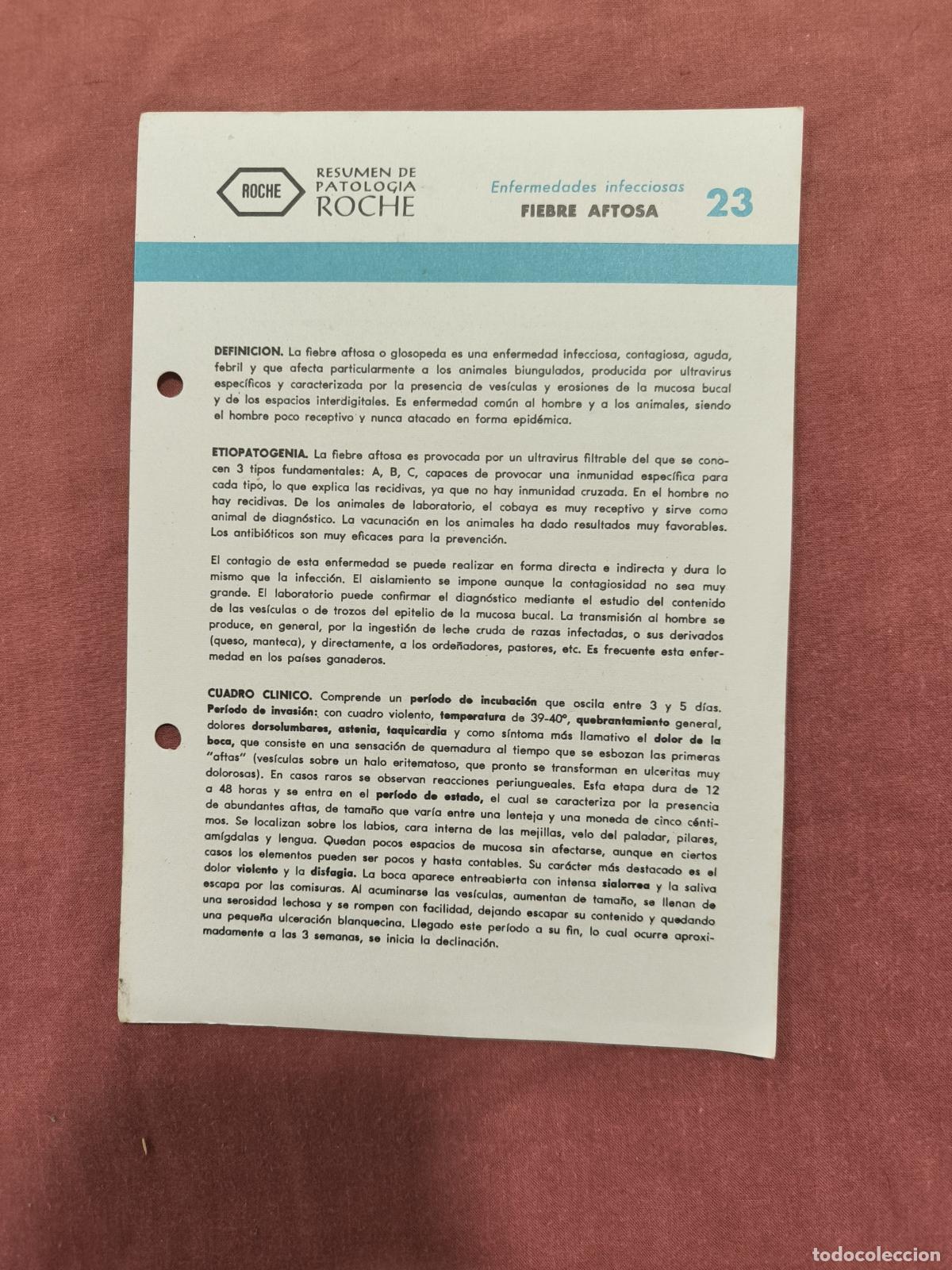 Coleccionismo de revistas y peri&oacute;dicos: Folleto Resumen de Patolog&iacute;a Roche N&ordm; 23 &ndash; Infecciosas: Fiebre Aftosa
