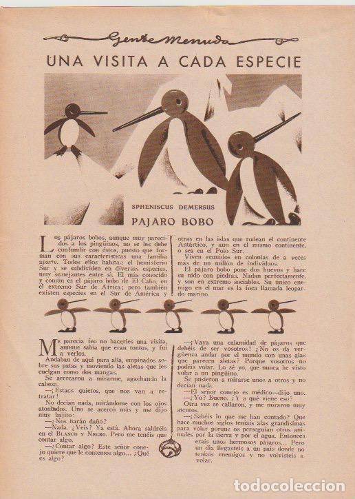 Colecionismo de Revistas e Jornais: Gente Menuda: una visita a cada especie: Spheniscus Demersus, p&aacute;jaro bobo / Roenueces - 1930
