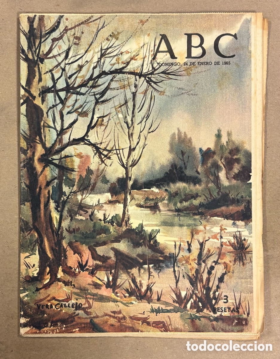 Coleccionismo de revistas y peri&oacute;dicos: ABC (24 ENERO 1965) VERA CALLEJO, MANNERHEIM 1857-1951, REPORTAJE SOBRE SOLARES, JUAN CRIST&Oacute;BAL ESC