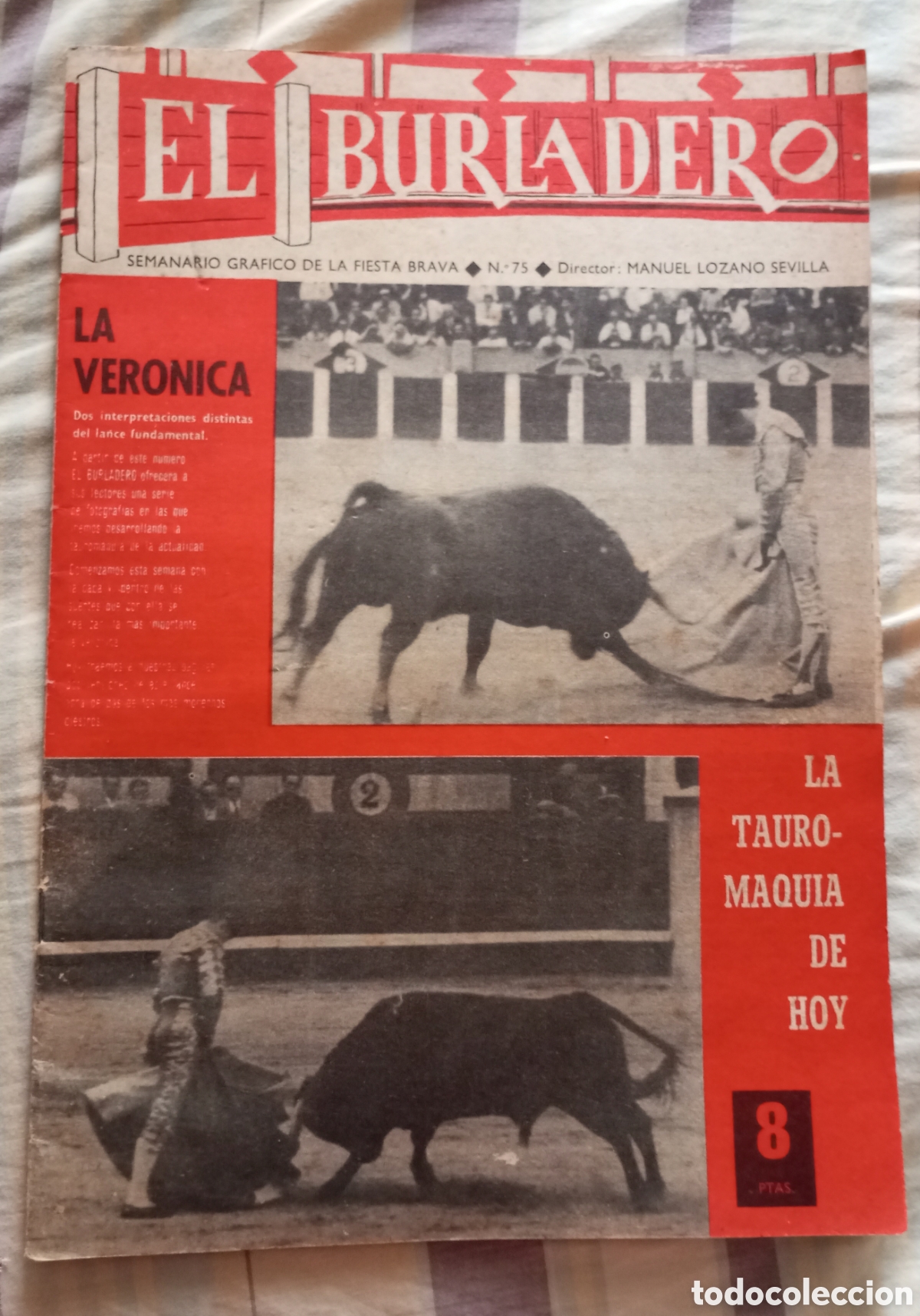 Coleccionismo de revistas y peri&oacute;dicos: Revista taurina el burladero numero 75 a&ntilde;o 1965