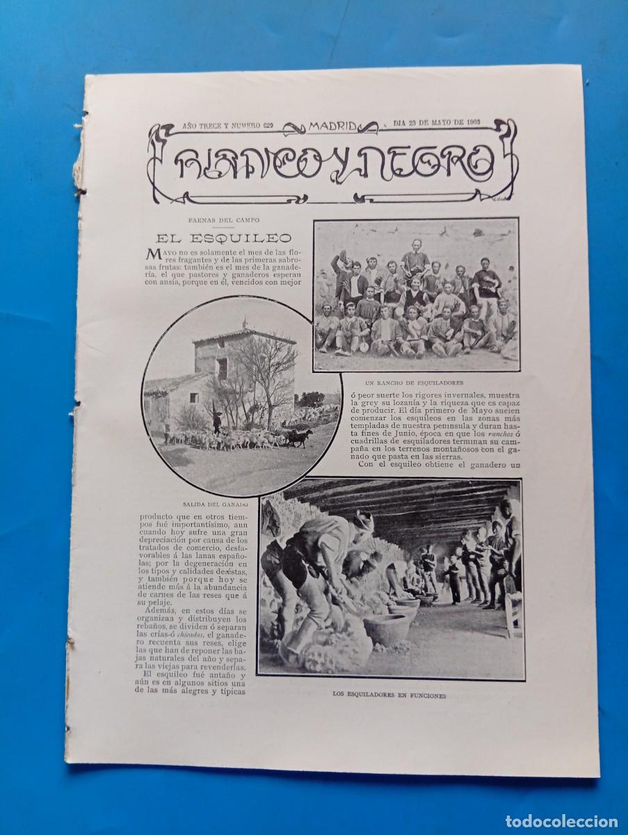 Coleccionismo de revistas y peri&oacute;dicos: BLANCO Y NEGRO. N&ordm; 629. A&Ntilde;O 1903. LOS ESQUILADORES EN FUNCIONES. ASPECTO GENERAL DE LA PRADER.. LEER