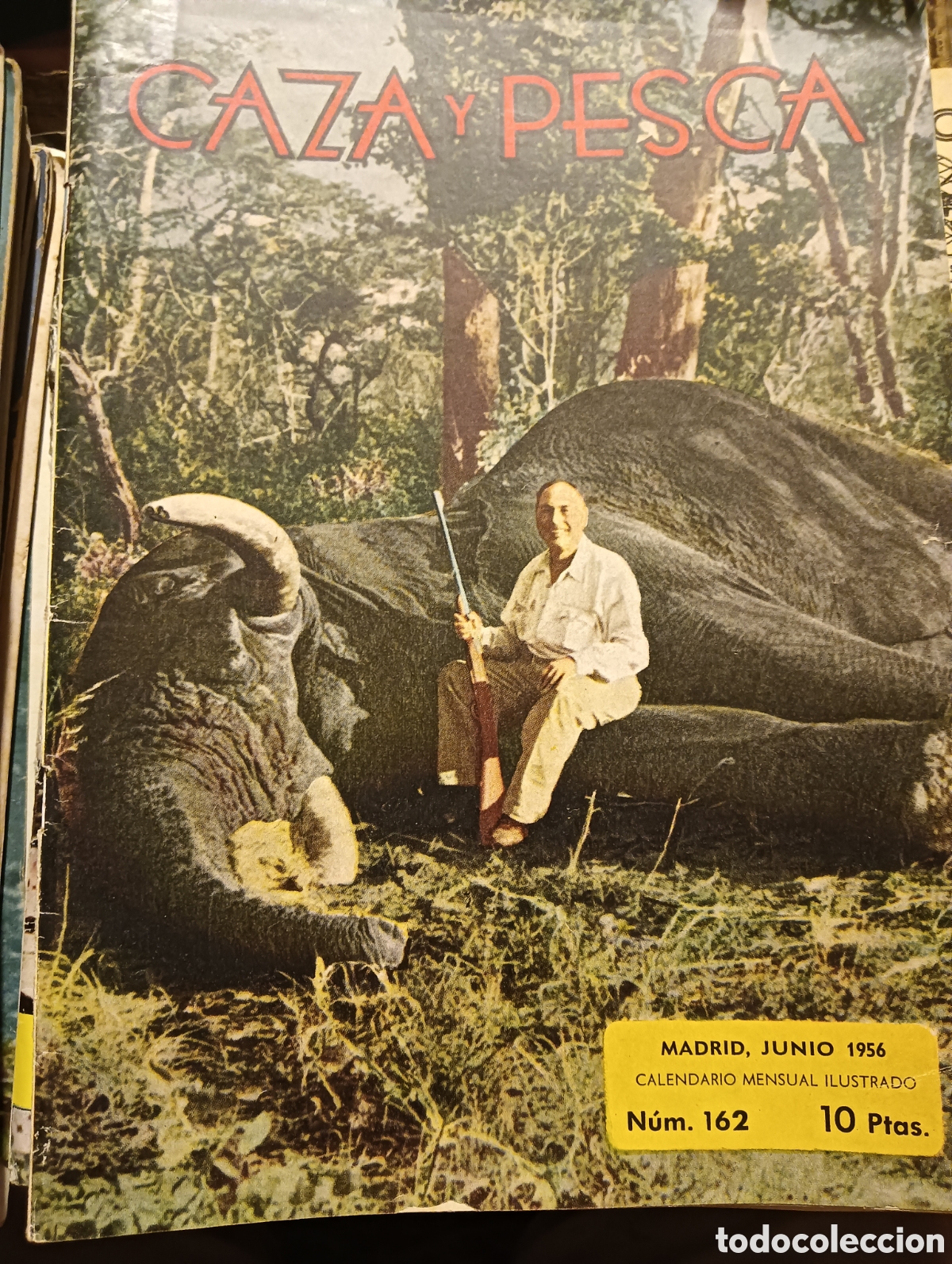 Coleccionismo de revistas y peri&oacute;dicos: Revista caza y pesca n&uacute;mero 162 junio de 1956
