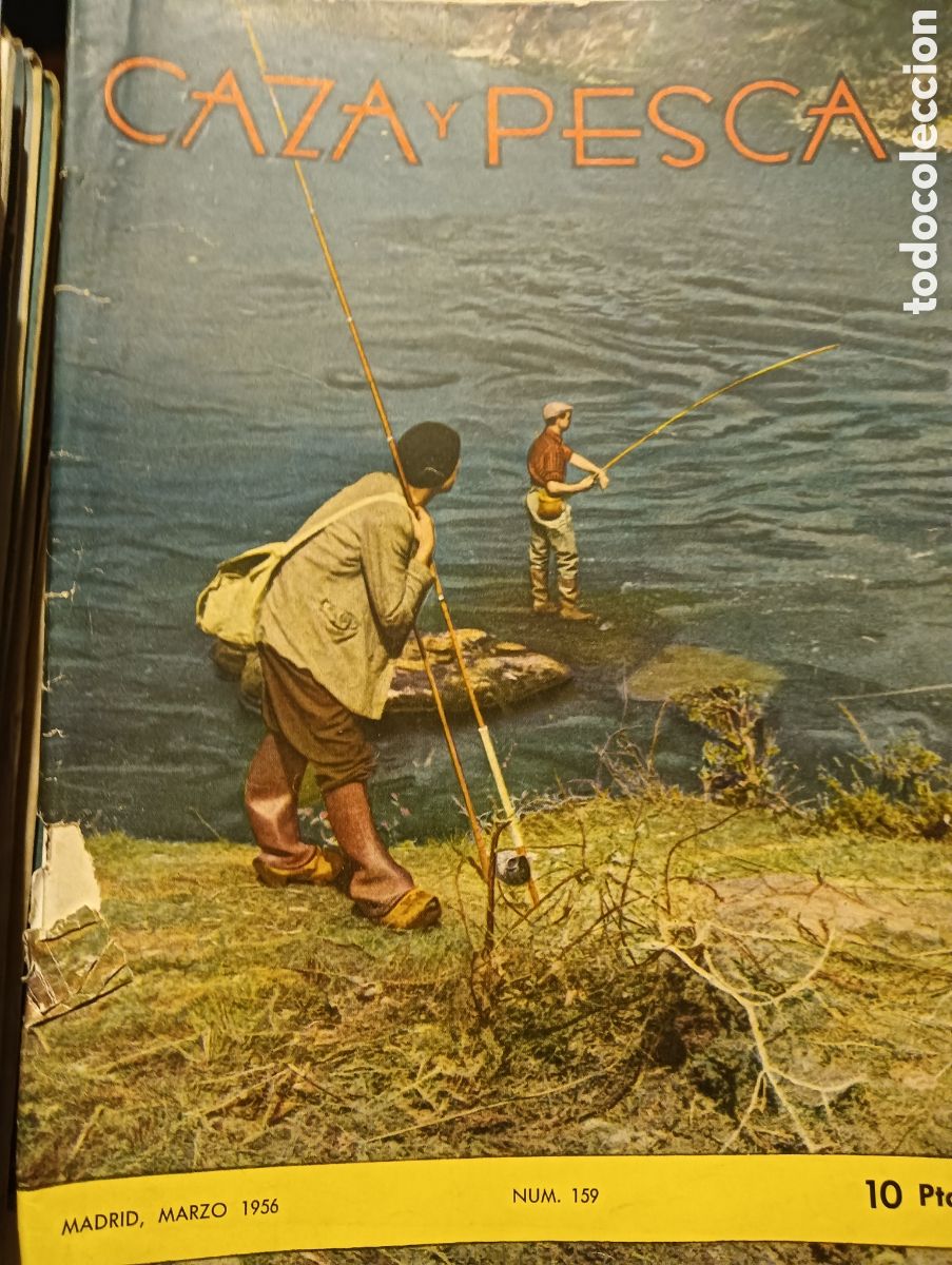 Coleccionismo de revistas y peri&oacute;dicos: Revista caza y pesca n&uacute;mero ciento cincuenta y nueve en marzo de 1956