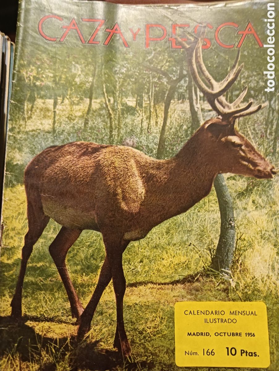 Coleccionismo de revistas y peri&oacute;dicos: Revista caza y pesca octubre 1956 n&uacute;mero 166