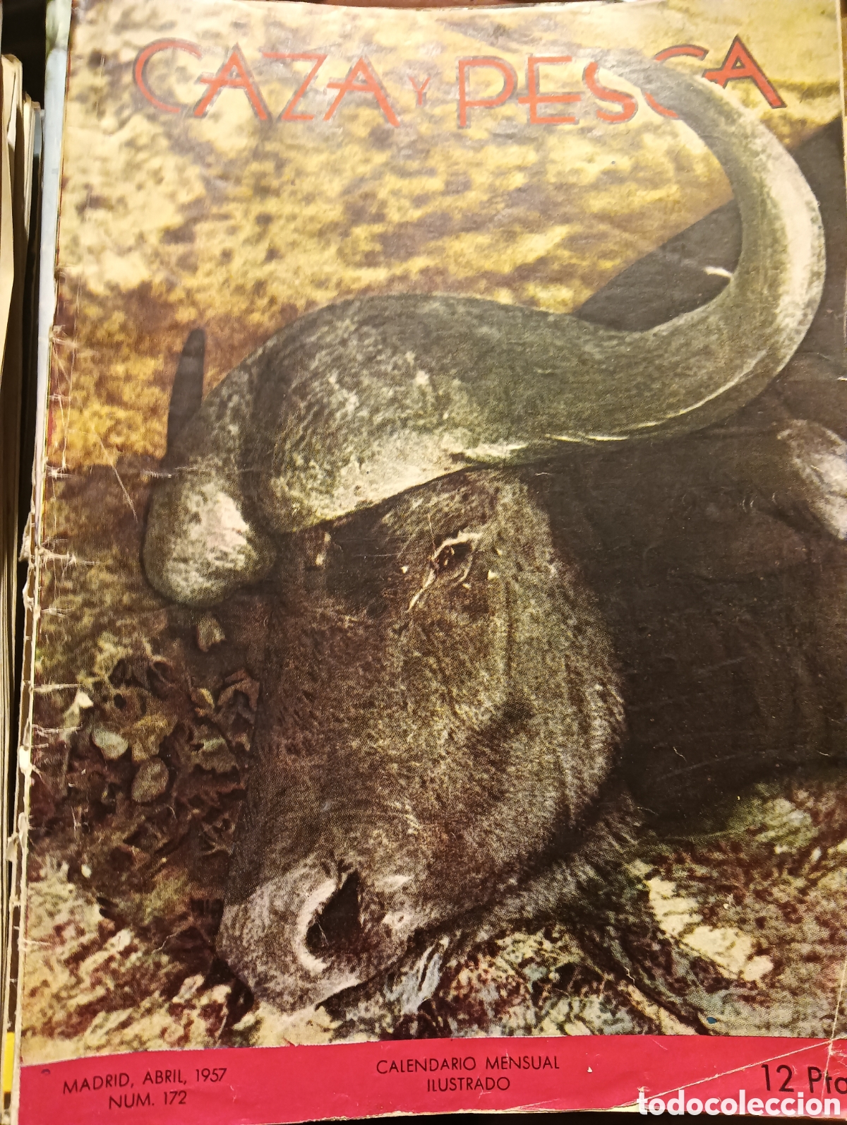 Collectionnisme de Revues et Journaux: Revista caza y pesca n&uacute;mero 172 abril de 1957