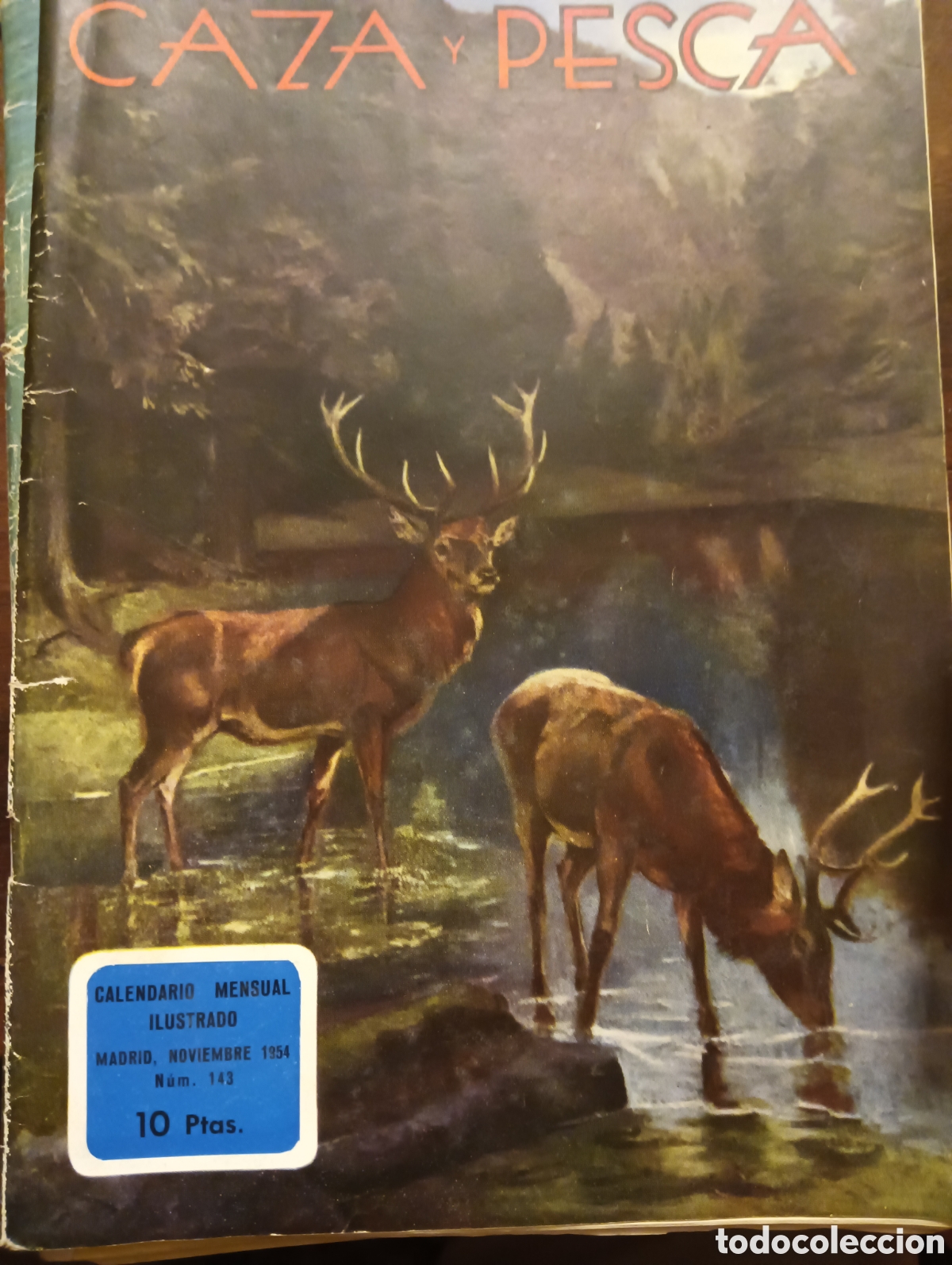 Coleccionismo de revistas y peri&oacute;dicos: Revista caza y pesca noviembre de 1954 n&uacute;mero 143