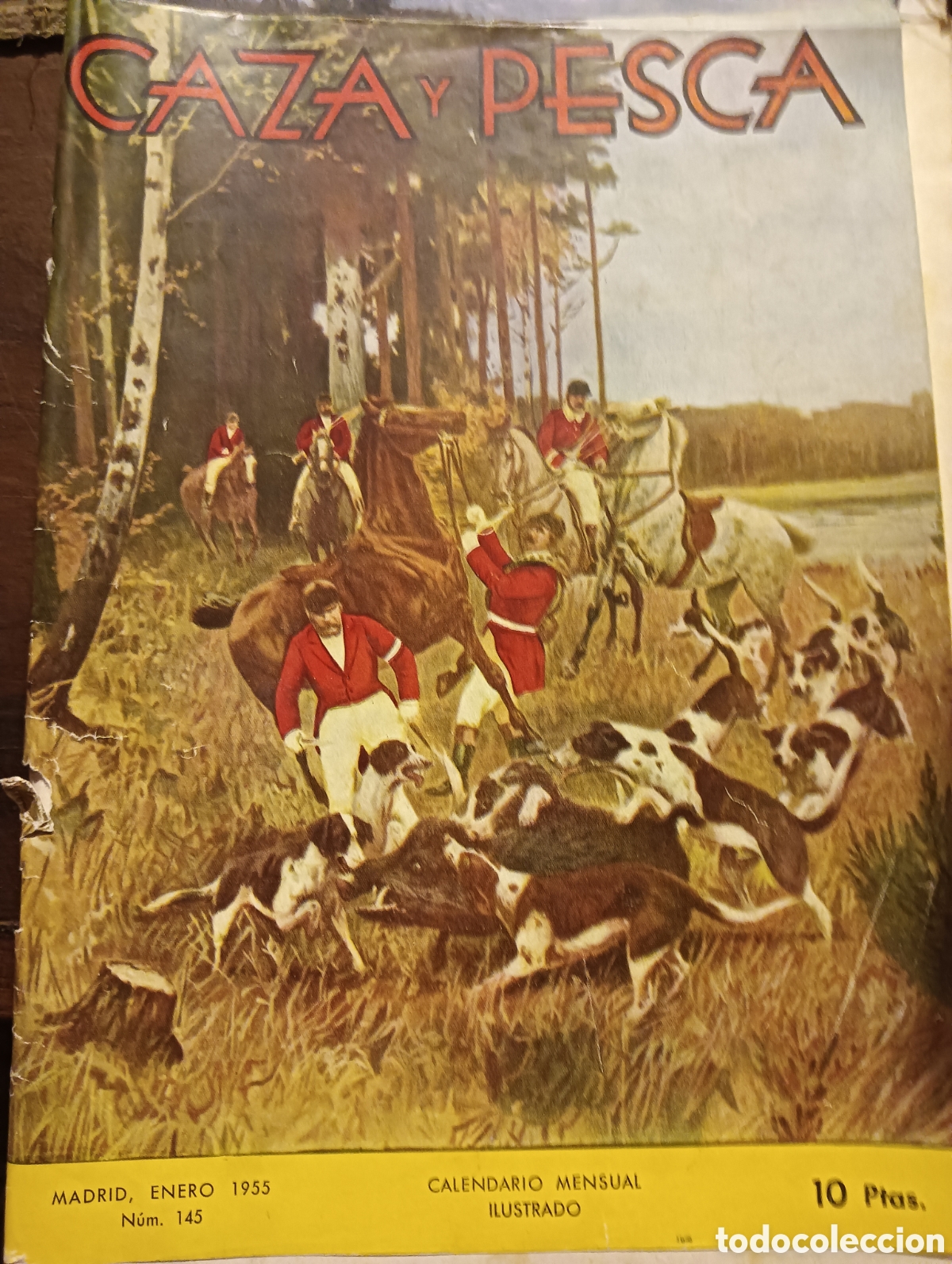 Coleccionismo de revistas y peri&oacute;dicos: Revista caza y pesca enero de 1955 n&uacute;mero 145