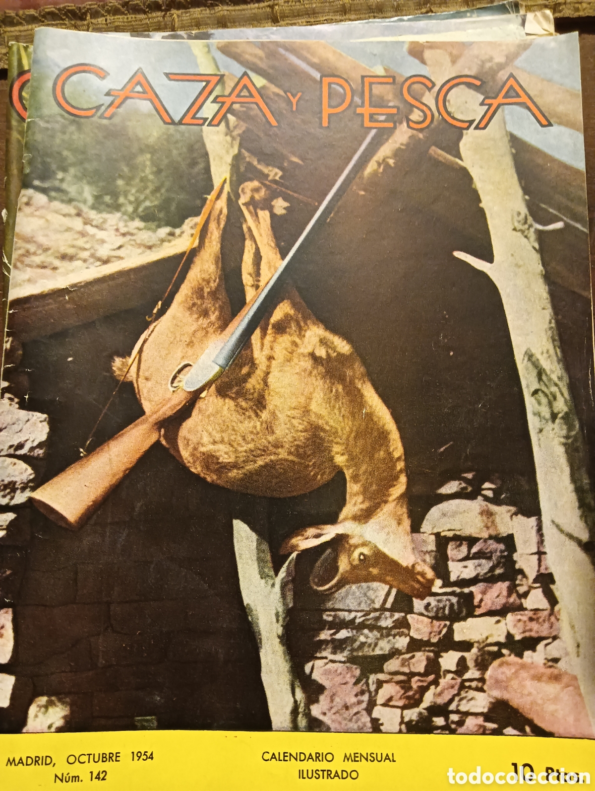 Coleccionismo de revistas y peri&oacute;dicos: Revista caza y pesca octubre de 1954 n&uacute;mero ciento cuarenta y dos