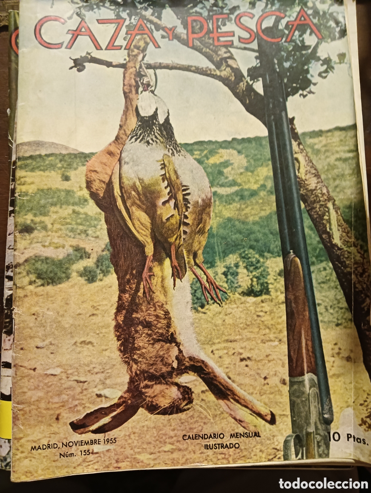 Coleccionismo de revistas y peri&oacute;dicos: Revista caza y pesca n&uacute;mero 155 noviembre de 1955