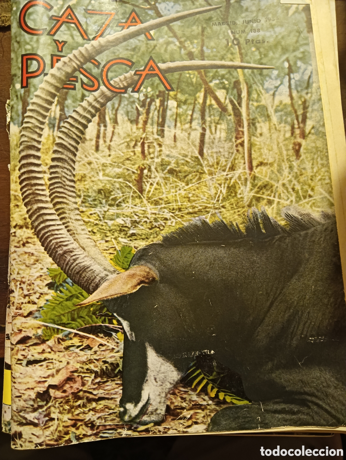 Coleccionismo de revistas y peri&oacute;dicos: Revista caza y pesca junio de 1954 n&uacute;mero 138