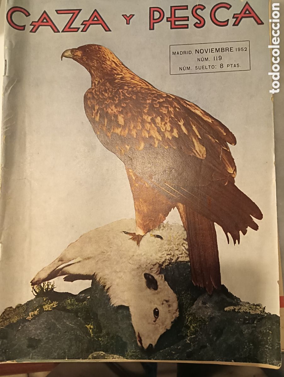 Coleccionismo de revistas y peri&oacute;dicos: caza y pesca noviembre de 1952 n&ordm; 119