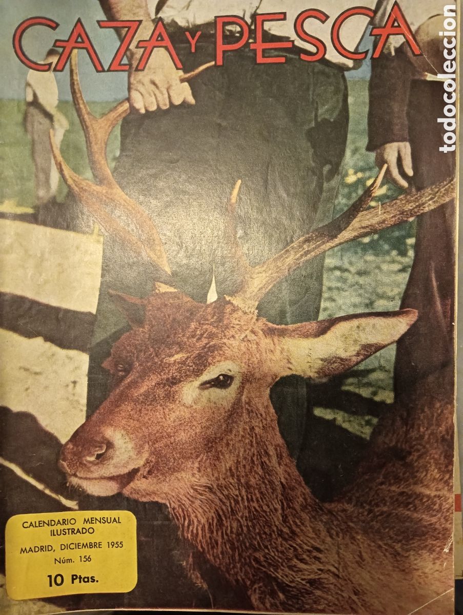 Coleccionismo de revistas y peri&oacute;dicos: caza y pesca n&ordm; 156, diciembre de 1955