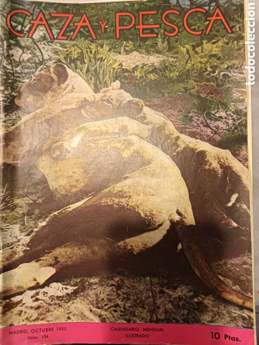 Coleccionismo de revistas y peri&oacute;dicos: caza y pesca octubre de 1955, n&ordm; 154