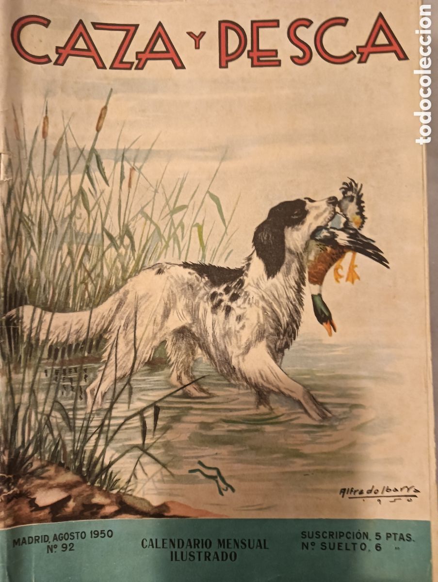 Coleccionismo de revistas y peri&oacute;dicos: caza y pesca agosto de 1950 n&ordm; 92