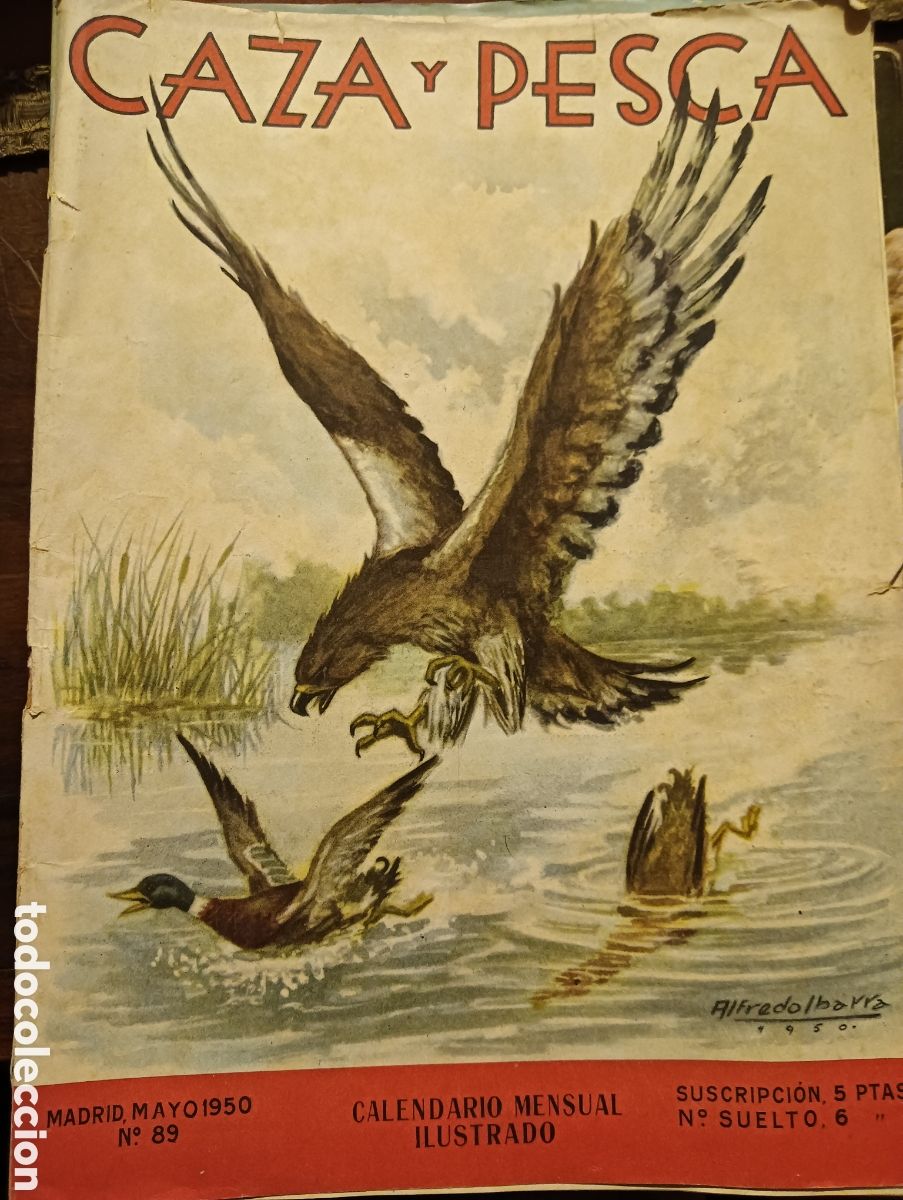 Coleccionismo de revistas y peri&oacute;dicos: Revista caza y pesca en mayo de 1950 n&uacute;mero 89