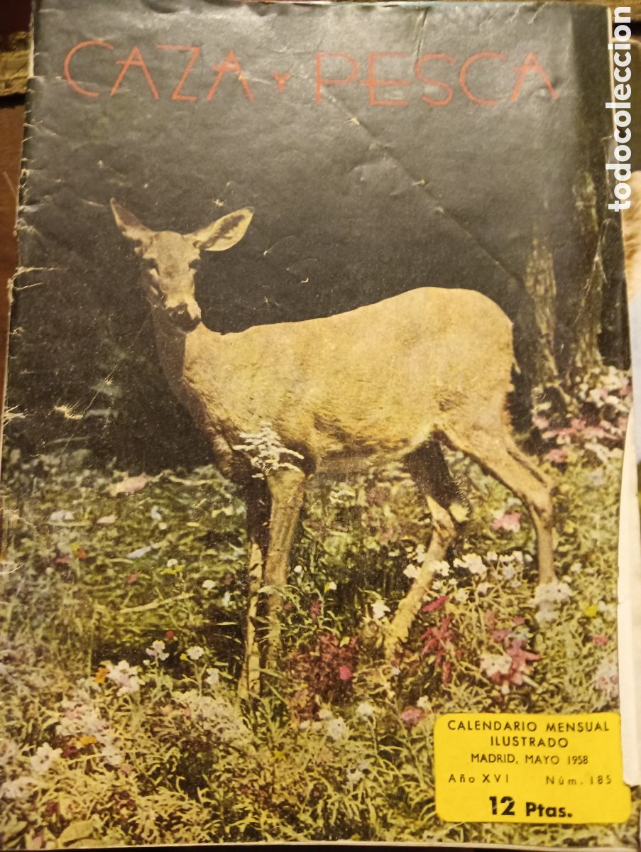 Coleccionismo de revistas y peri&oacute;dicos: Revista caza y pesca mayo de 1958 n&uacute;mero 185