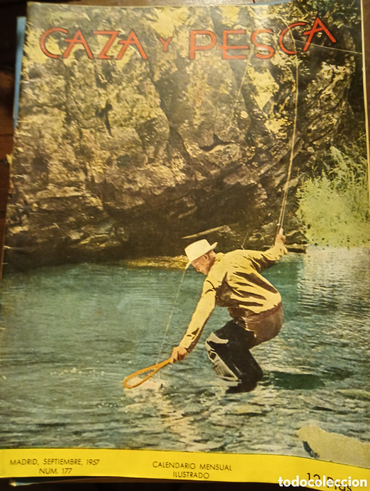 Coleccionismo de revistas y peri&oacute;dicos: Revista caza y pesca septiembre de 1957 n&uacute;mero 177