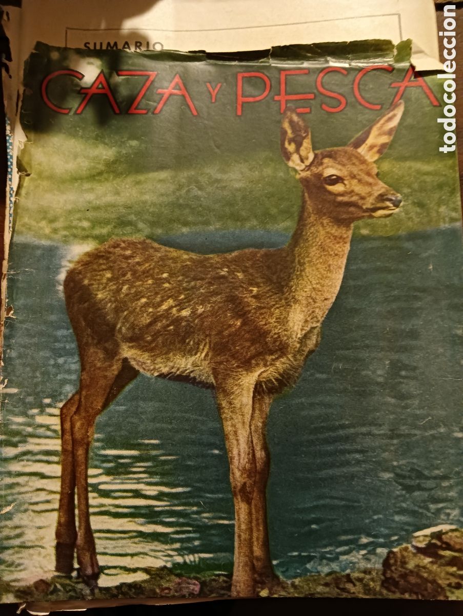 Coleccionismo de revistas y peri&oacute;dicos: Revistas caza y pesca n&uacute;meros 86, 125 y 168