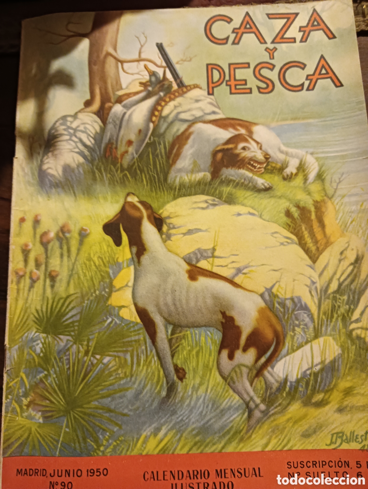 Coleccionismo de revistas y peri&oacute;dicos: Revista caza y pesca n&uacute;mero noventa junio de 1950 n&uacute;m 90