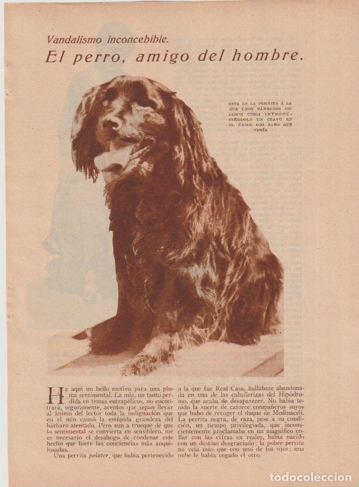 Coleccionismo de revistas y peri&oacute;dicos: Vandalismo inconcebible: El perro, amigo del hombre / Rafael de Guabirasa - 1933