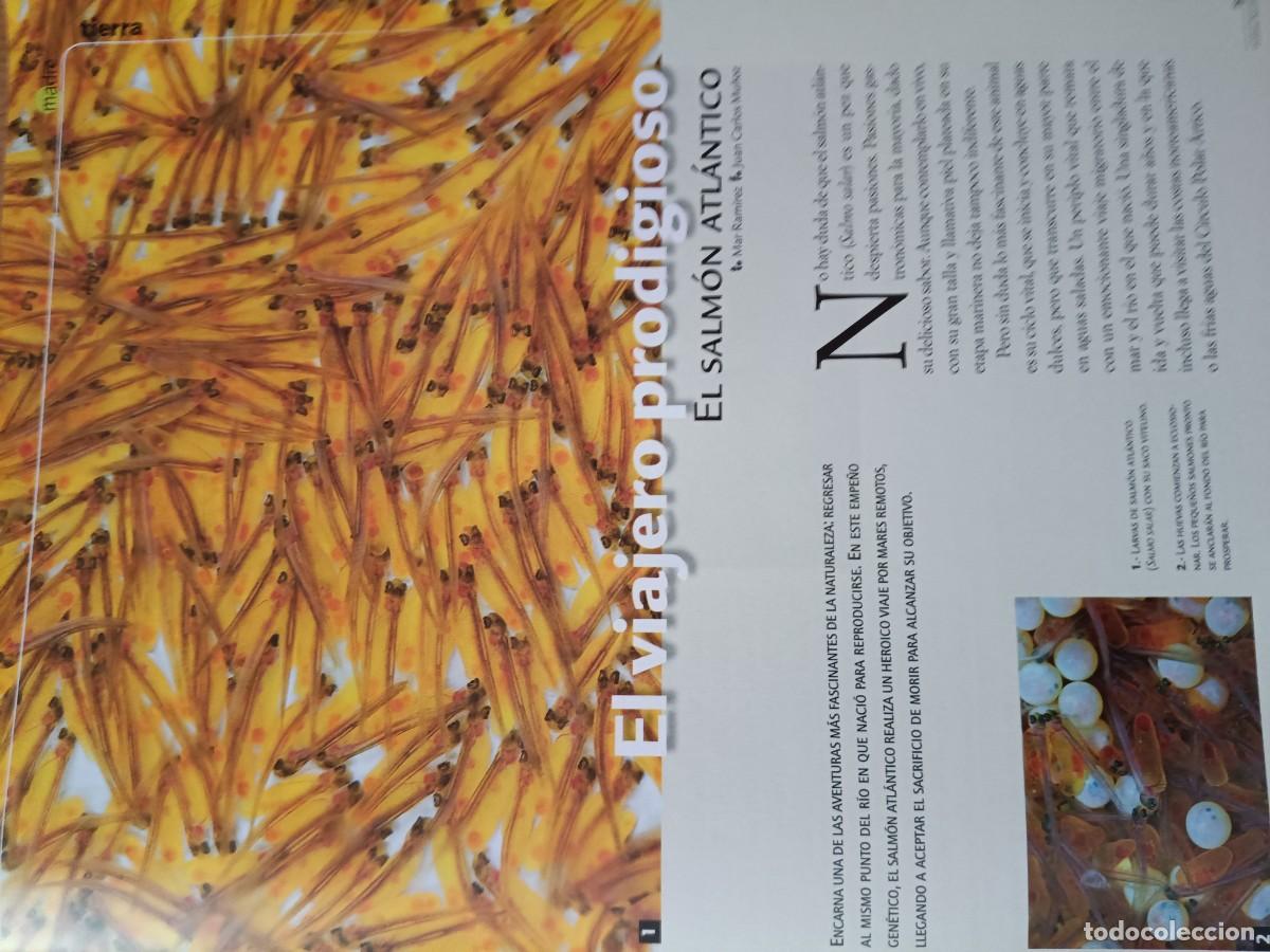 Coleccionismo de revistas y peri&oacute;dicos: EL SALM&Oacute;N ATL&Aacute;NTICO, VIAJERO PRODIGIOSO. ART&Iacute;CULO 4 PAGS. DE REVISTA EUSKAL HERRIA, 2011