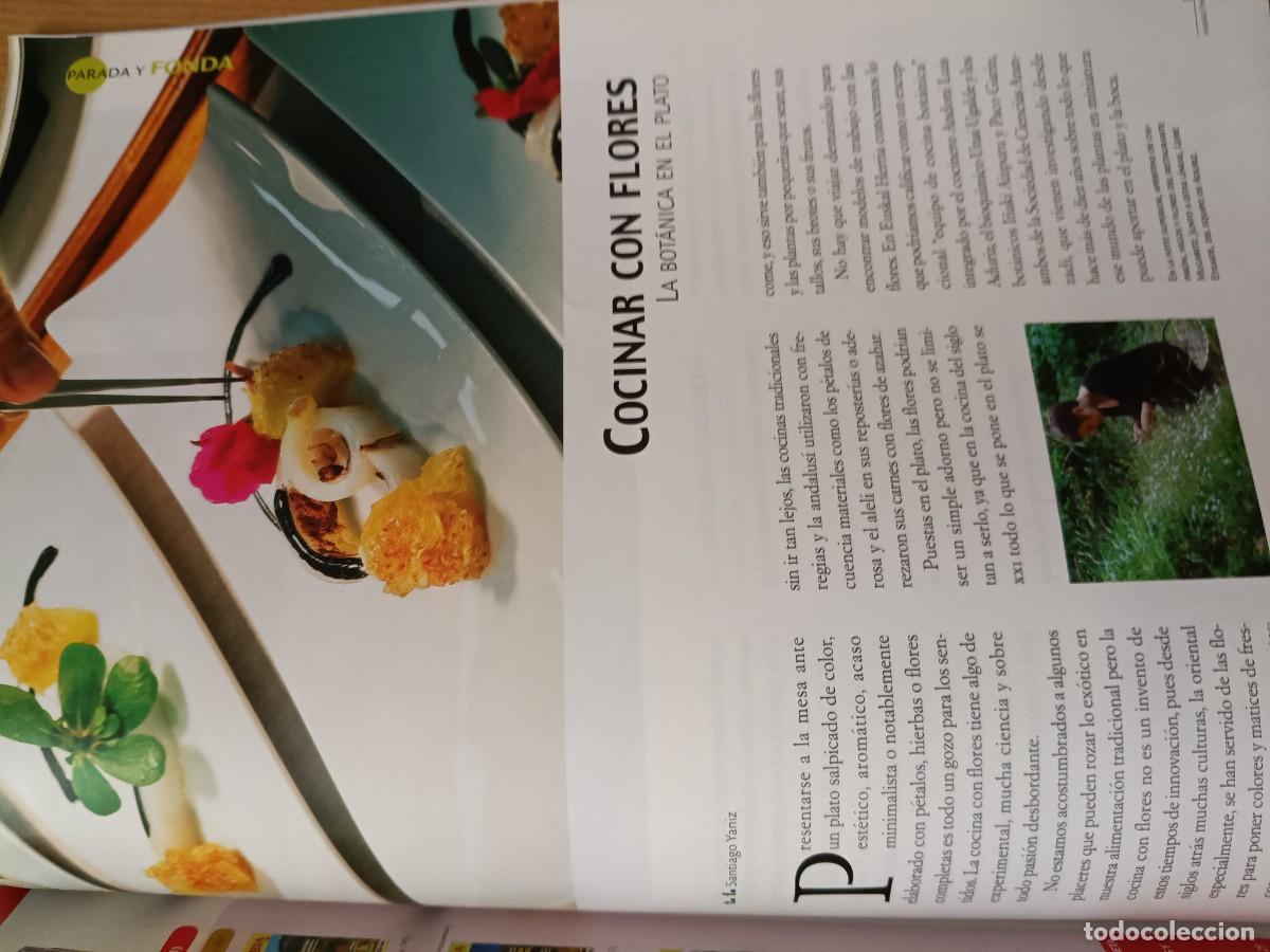 Coleccionismo de revistas y peri&oacute;dicos: COCINAR CON PLANTAS. 4 P&Aacute;GINAS DE REVISTA EUSKAL HERRIA, 2011