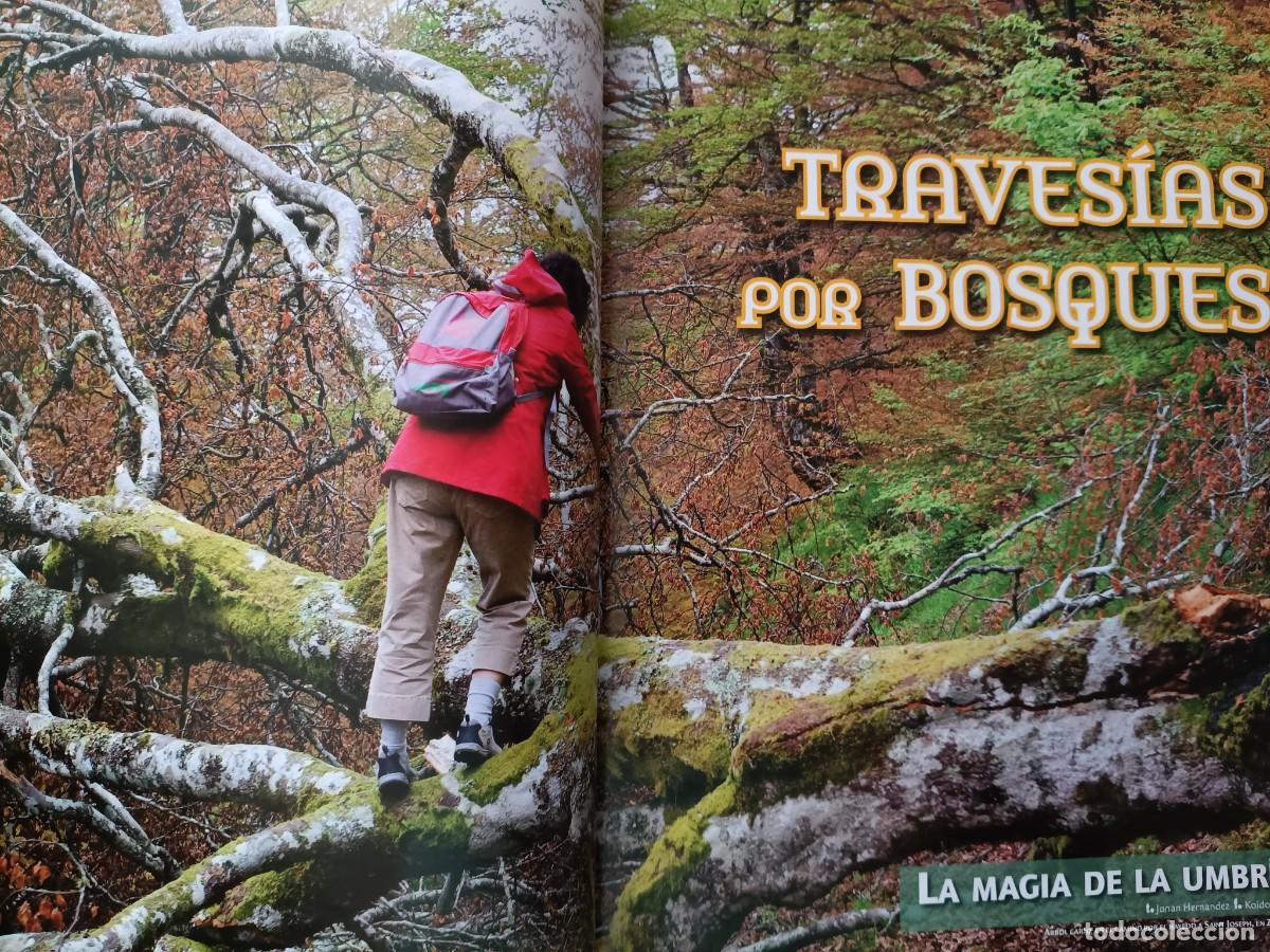 Coleccionismo de revistas y peri&oacute;dicos: TRAVES&Iacute;AS POR BOSQUES. KARRANTZA LEITZARAN ETXARRI ARANATZ...18 PAGS. DE REVISTA EUSKAL HERRIA, 2010